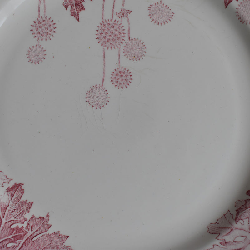 Antique Plate K&G Luneville Platane S