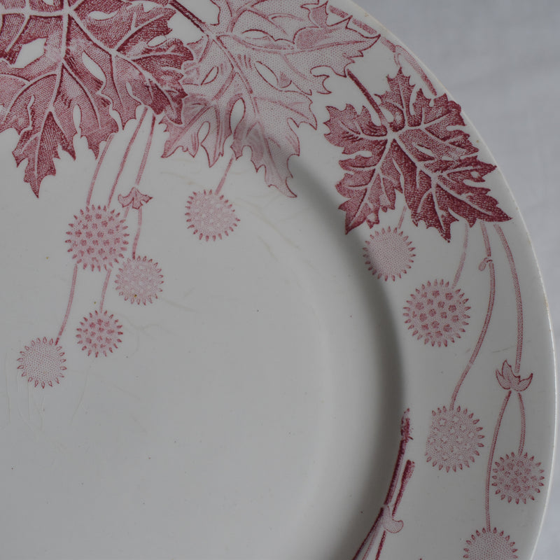 Antique Plate K&G Luneville Platane S