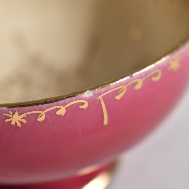 Zika Coffee Cup & Saucer, Pink