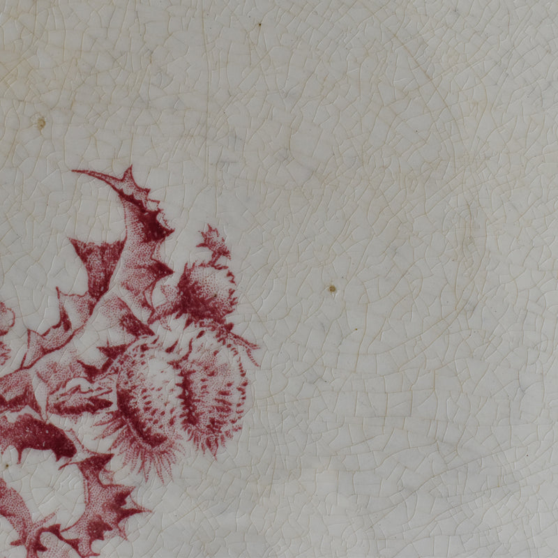 Antique large plate Gien Chardons (Thistles)