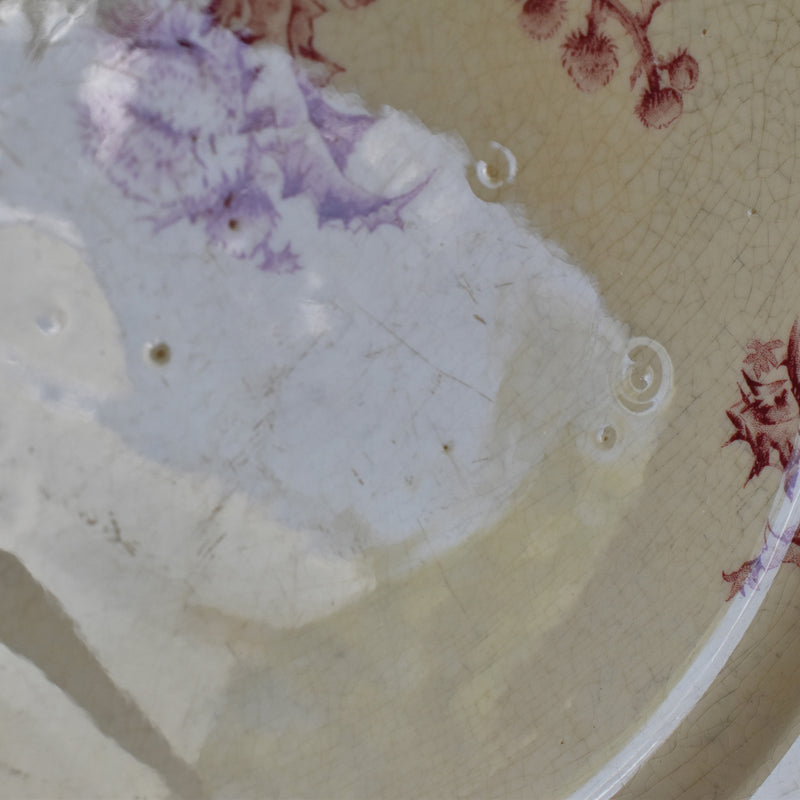 Antique large plate Gien Chardons (Thistles)