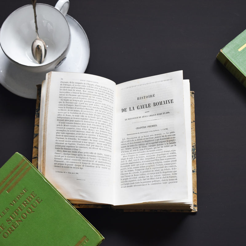 Antique book Histoire des Français