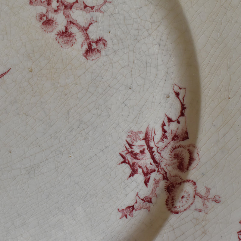 Antique large plate Gien Chardons (Thistles)