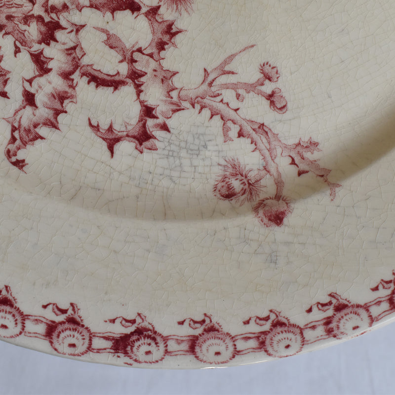 Antique large plate Gien Chardons (Thistles)