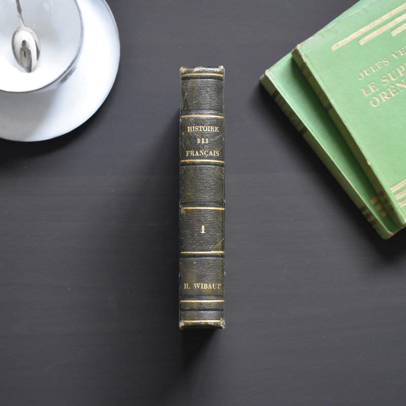 Antique book Histoire des Français