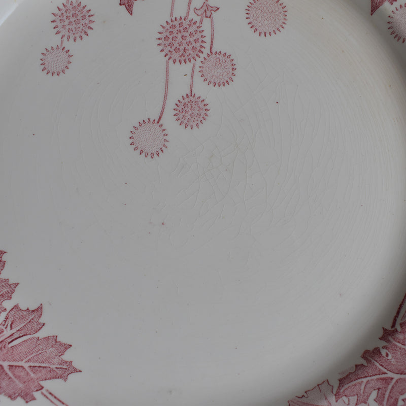 Antique Plate K&G Luneville Platane T