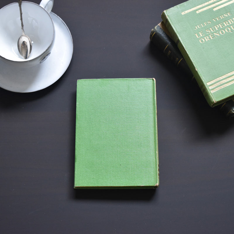 Vintage book: Jules Verne, A Drama in Livonia