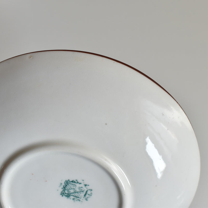 Antique Cup & Saucer Sarreguemines Minton 252 B