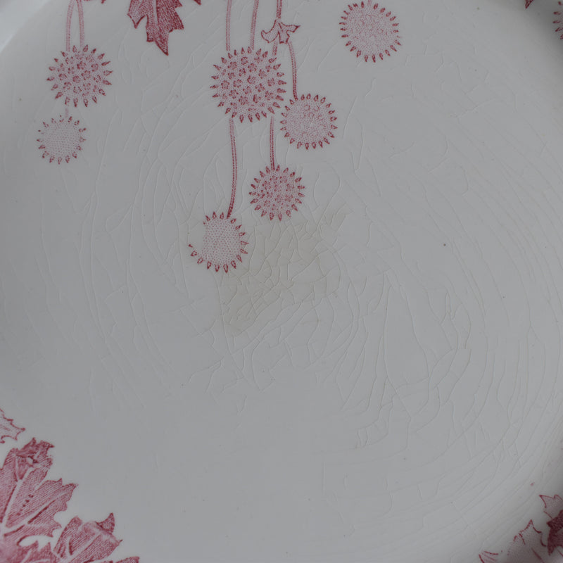 Antique Plate K&G Luneville Platane U