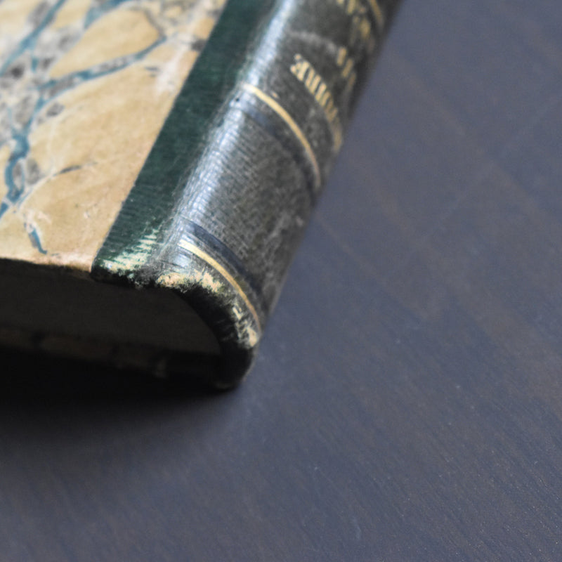 Antique book Histoire des Français