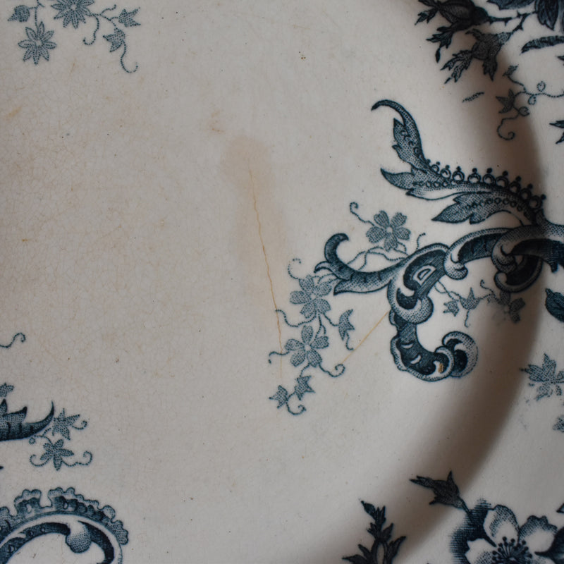 Antique plate, Choisy-le-Roi, Wild Rose