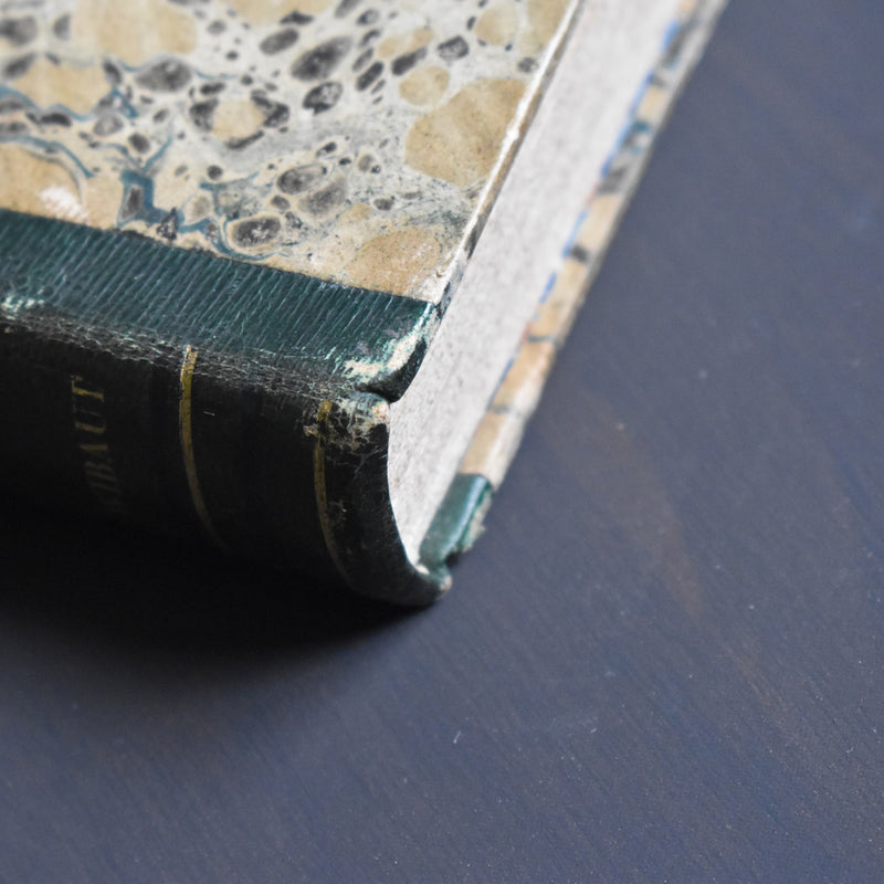Antique book Histoire des Français