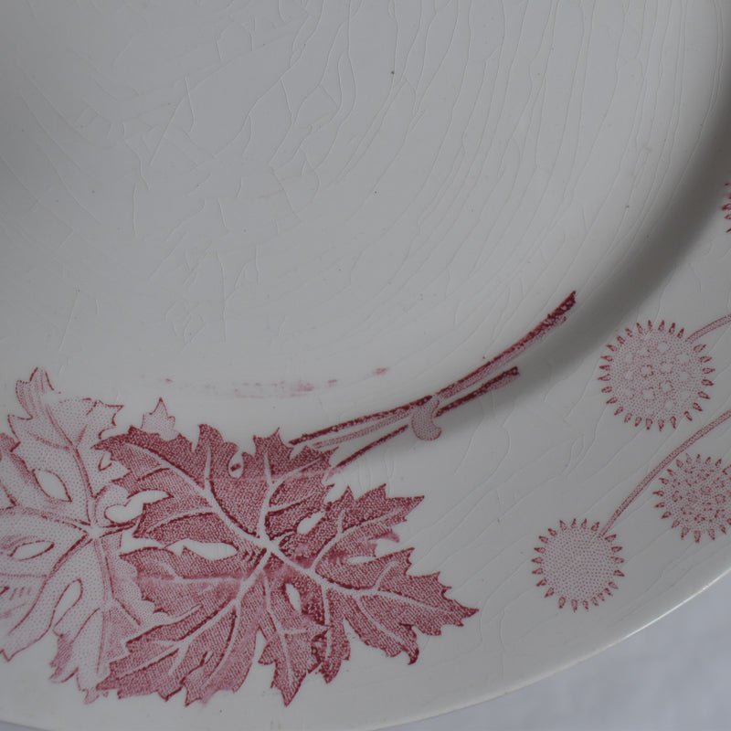 Antique Plate K&G Luneville Platane U
