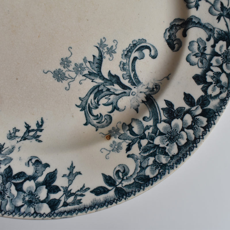 Antique plate, Choisy-le-Roi, Wild Rose