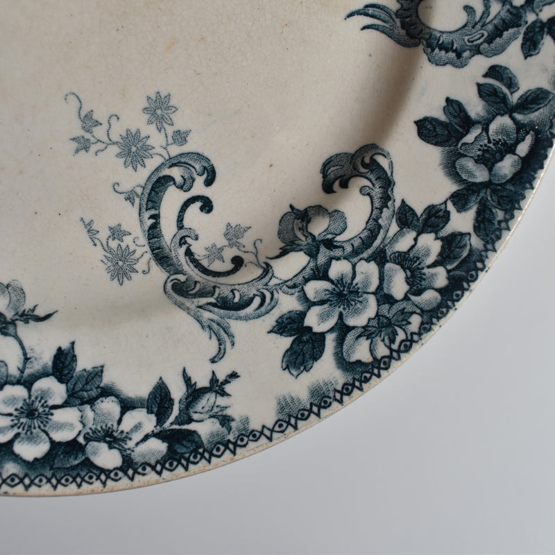 Antique plate, Choisy-le-Roi, Wild Rose