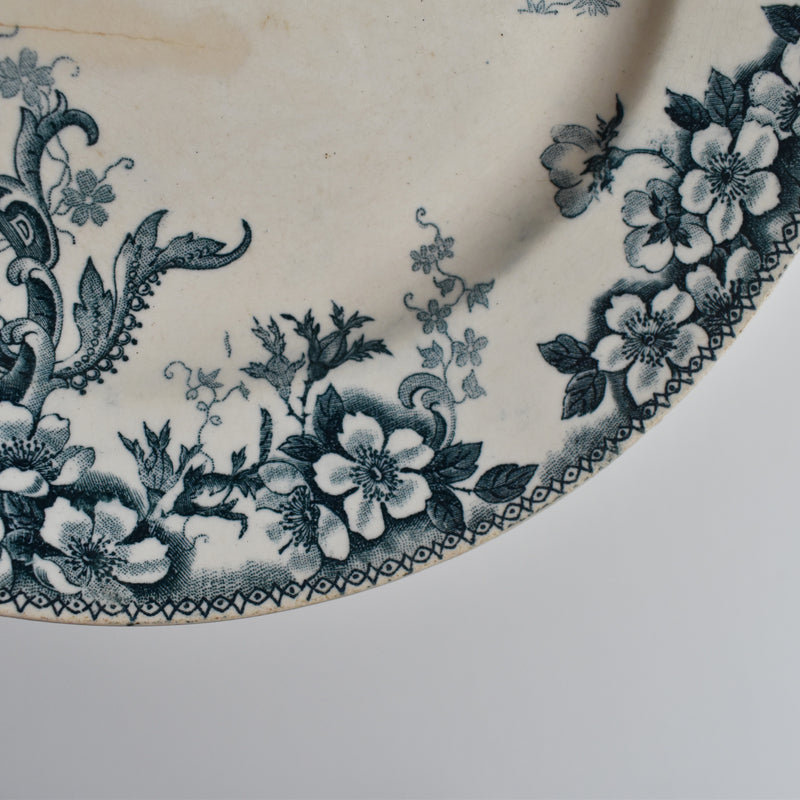 Antique plate, Choisy-le-Roi, Wild Rose