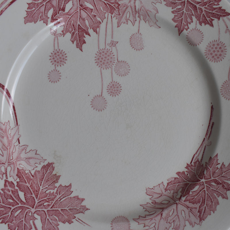 Antique Plate K&G Luneville Platane V