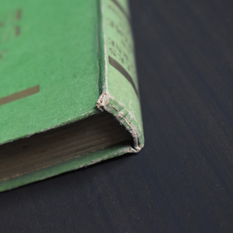 Vintage book: Jules Verne, A Drama in Livonia