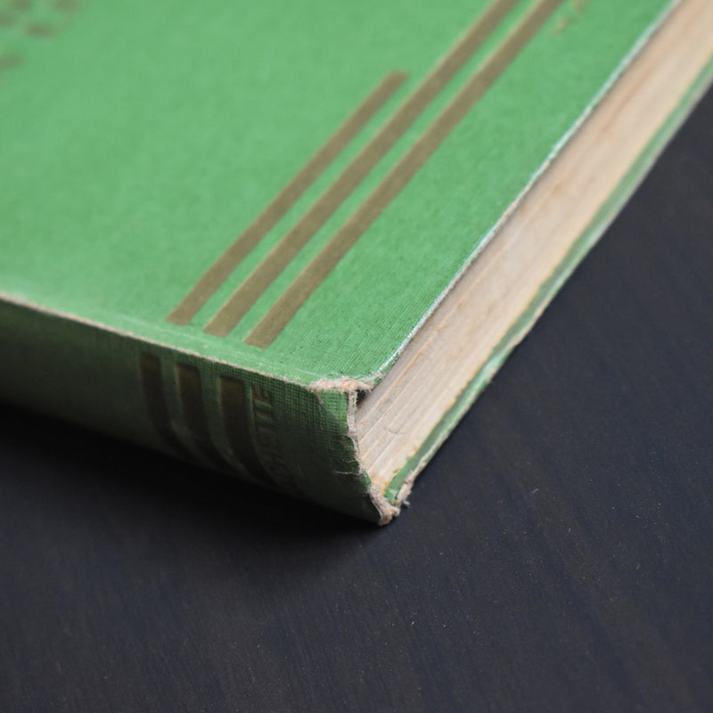 Vintage book: Jules Verne, A Drama in Livonia