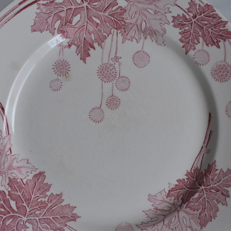 アンティークプレート K&Gリュネヴィル Platane W