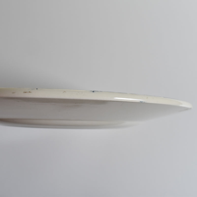 Antique plate Salins François 1er B