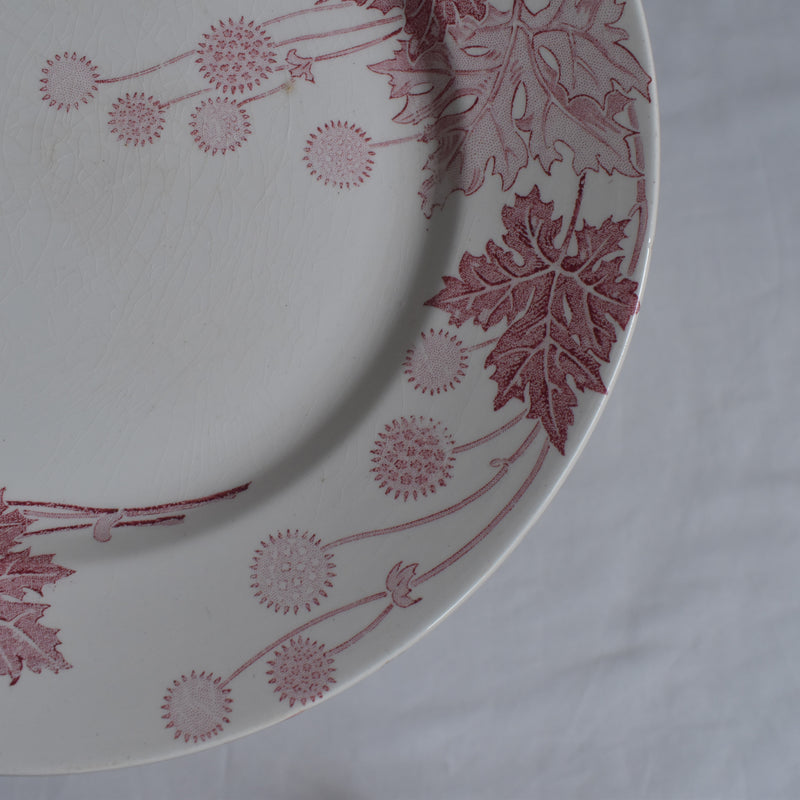 アンティークプレート K&Gリュネヴィル Platane W