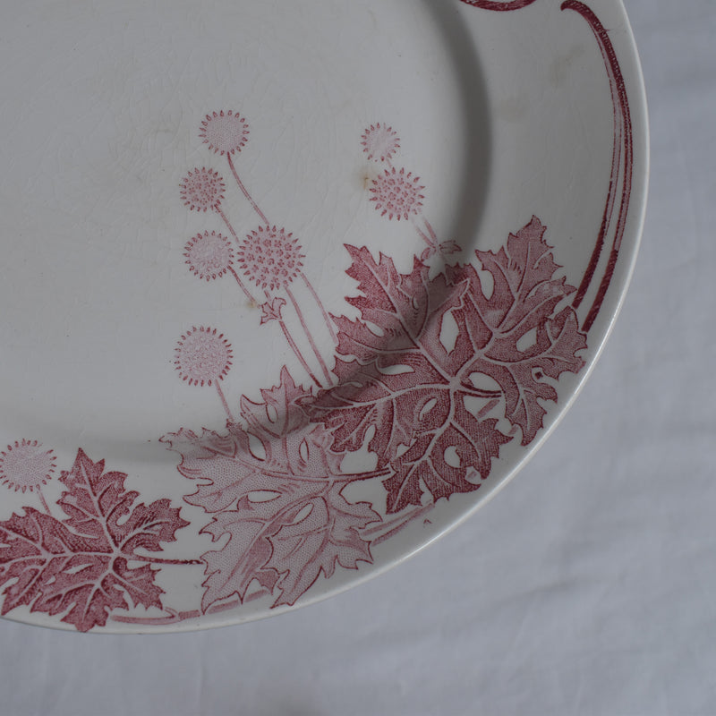 アンティークプレート K&Gリュネヴィル Platane W