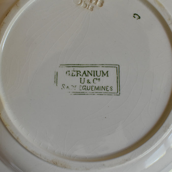 アンティーク深皿 U&C サルグミンヌ Geranium I
