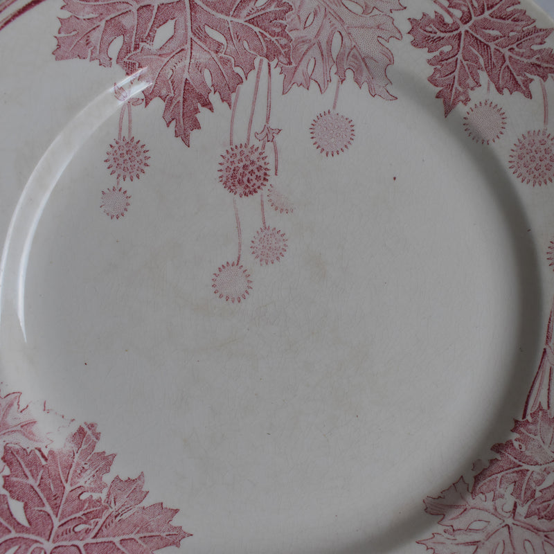 Antique Plate K&G Lunéville Platane X