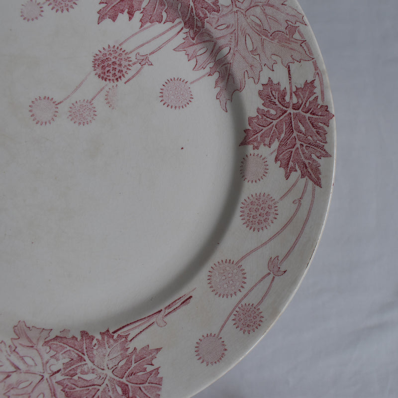 Antique Plate K&G Lunéville Platane X