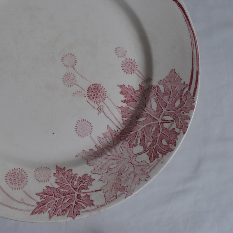 Antique Plate K&G Lunéville Platane X