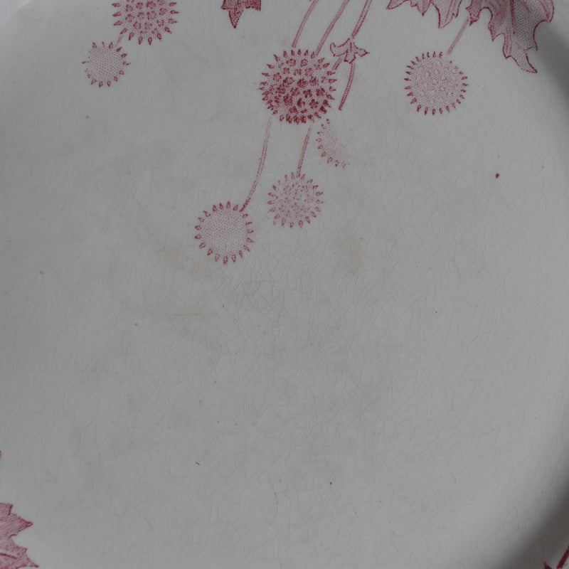 Antique Plate K&G Lunéville Platane X