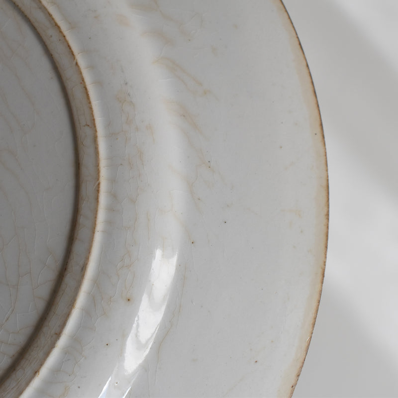 Vintage Large Plate Gien Fauvette