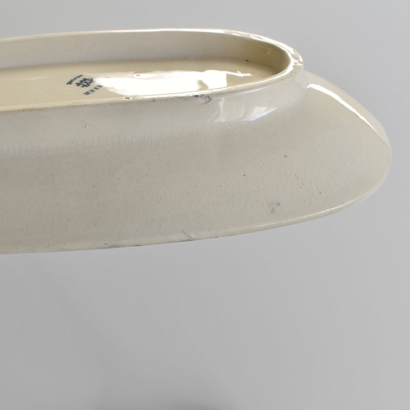 Antique Soap Dish Creil Montereau Palmier
