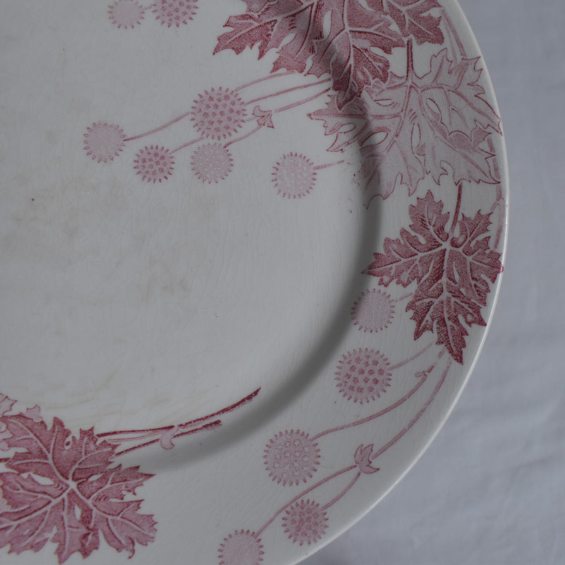 Antique Plate K&G Luneville Platane Y