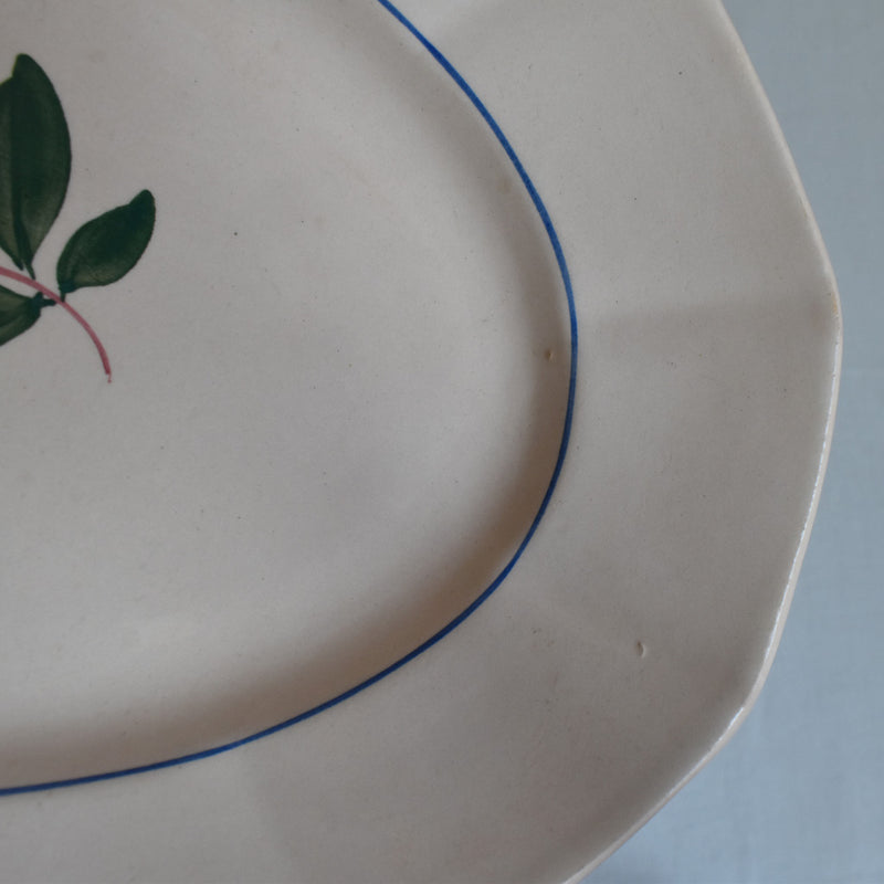 Vintage Oval Plate Digoin & Sarreguemines Pink