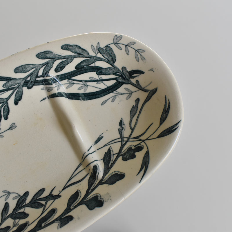 Antique Soap Dish Creil Montereau Palmier