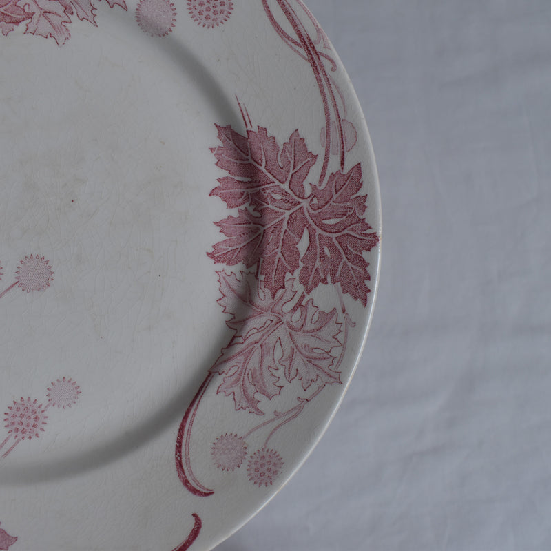 Antique Plate K&G Luneville Platane Y