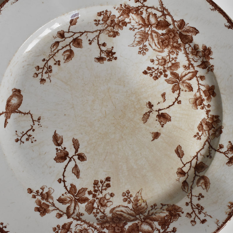 Vintage Large Plate Gien Fauvette
