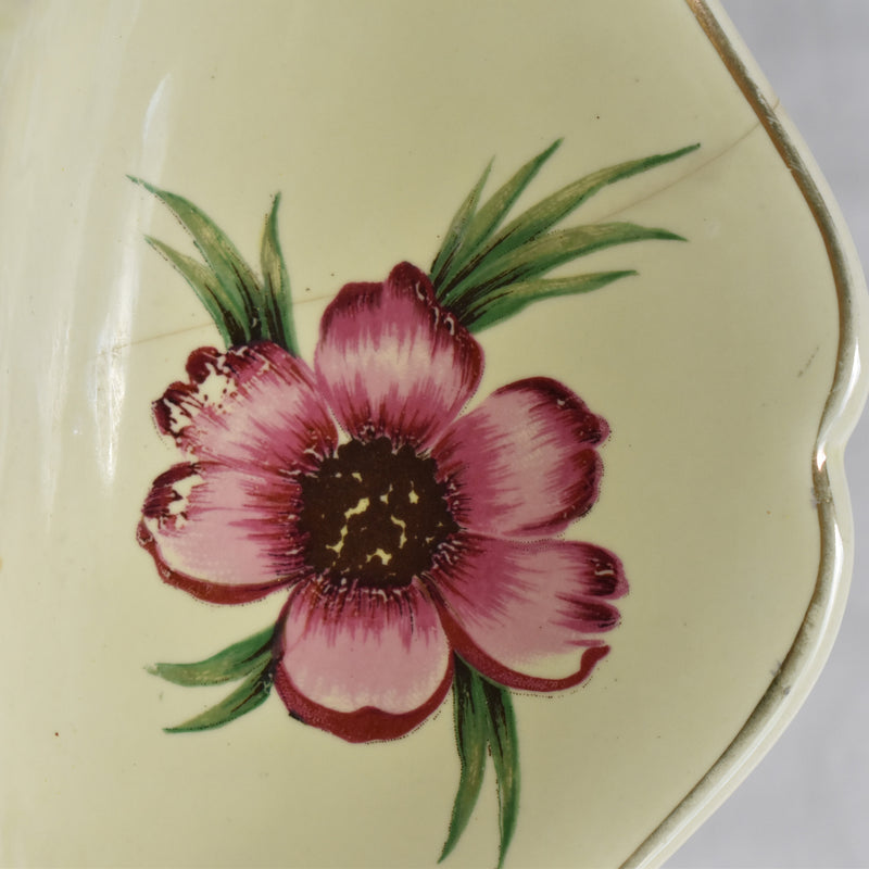 Vintage Asparagus Plate Sarrang