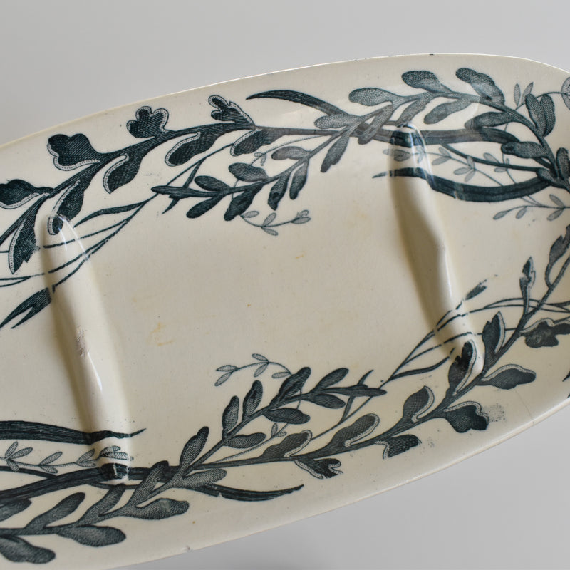 Antique Soap Dish Creil Montereau Palmier