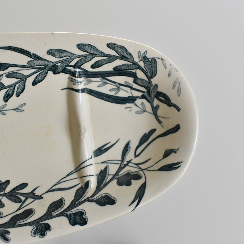 Antique Soap Dish Creil Montereau Palmier