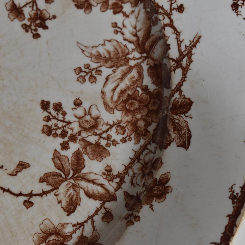 Vintage Large Plate Gien Fauvette