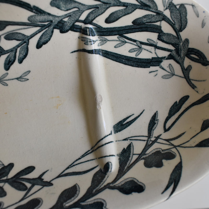 Antique Soap Dish Creil Montereau Palmier