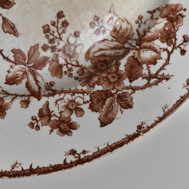 Vintage Large Plate Gien Fauvette