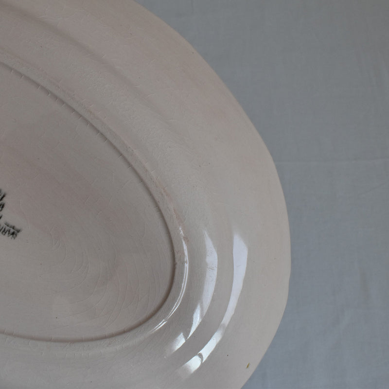 Vintage Oval Platter, Digoin & Sarreguemines, Pink