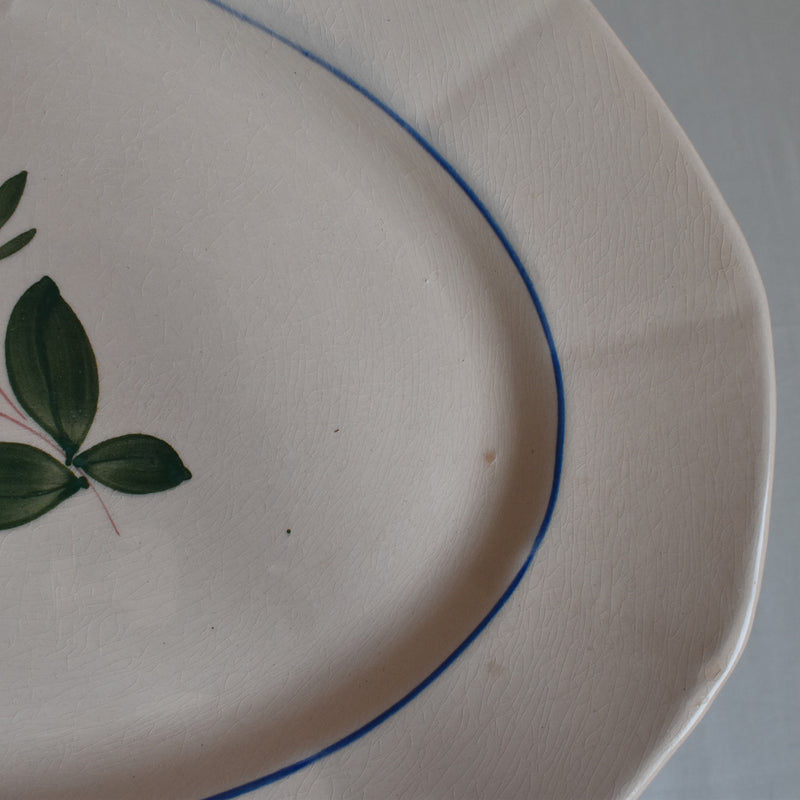Vintage Oval Platter, Digoin & Sarreguemines, Pink
