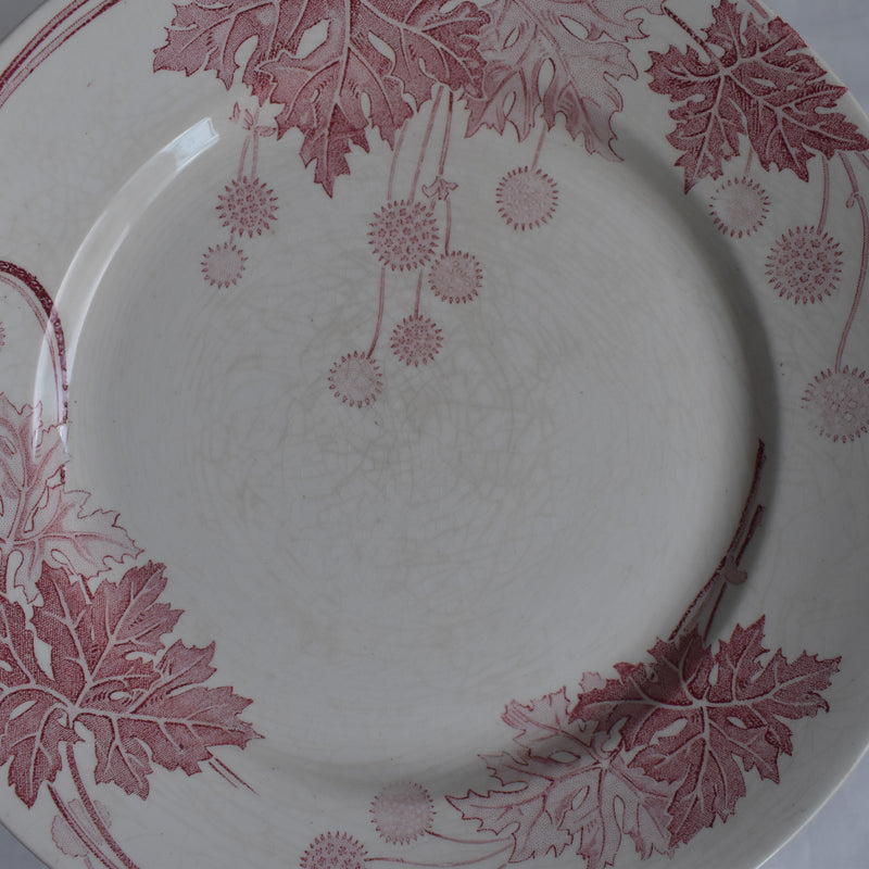 Antique Plate K&G Lunéville Platane Z