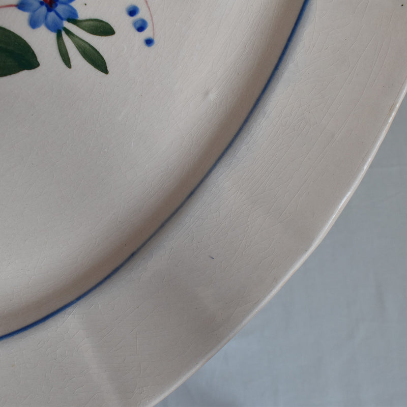 Vintage Oval Platter, Digoin & Sarreguemines, Pink