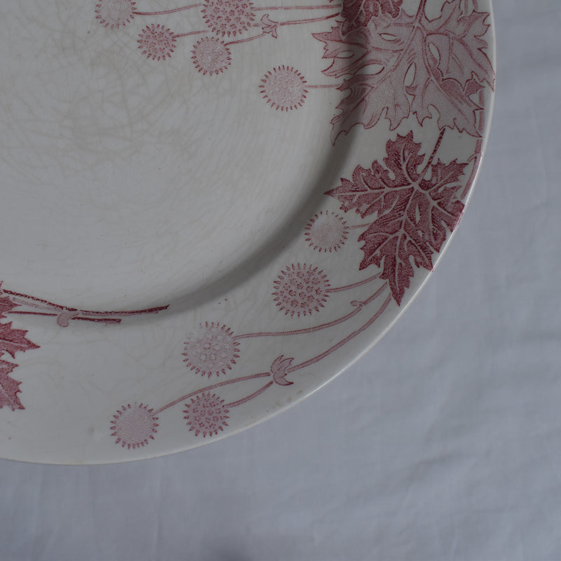 Antique Plate K&G Lunéville Platane Z
